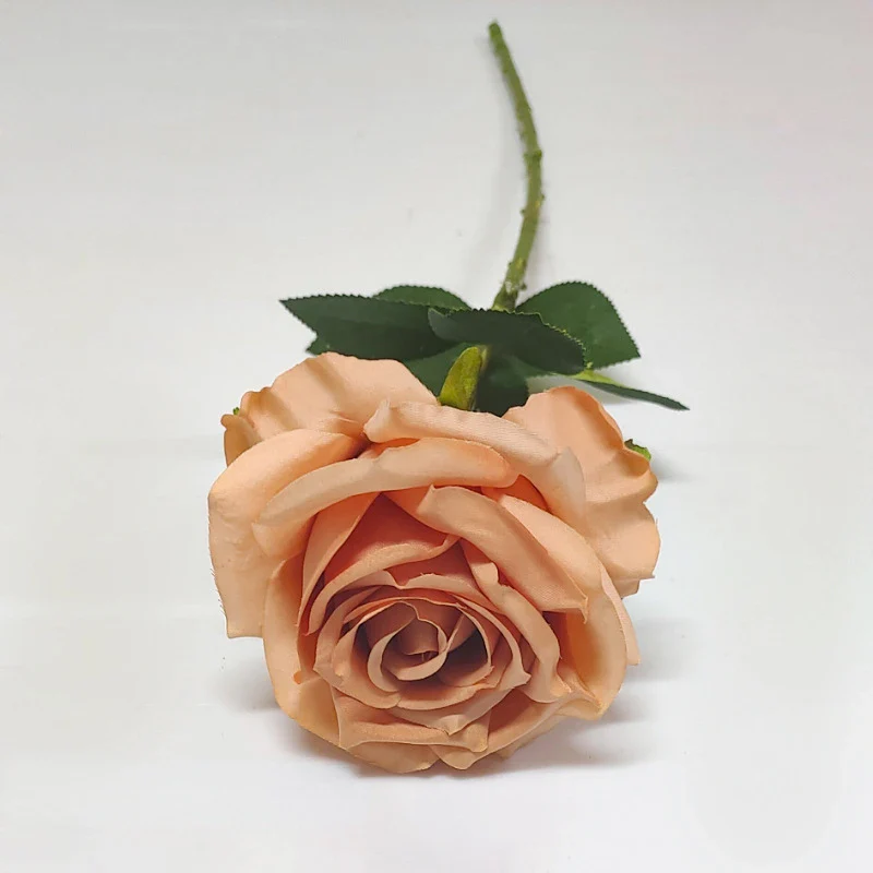 Image du produit 14