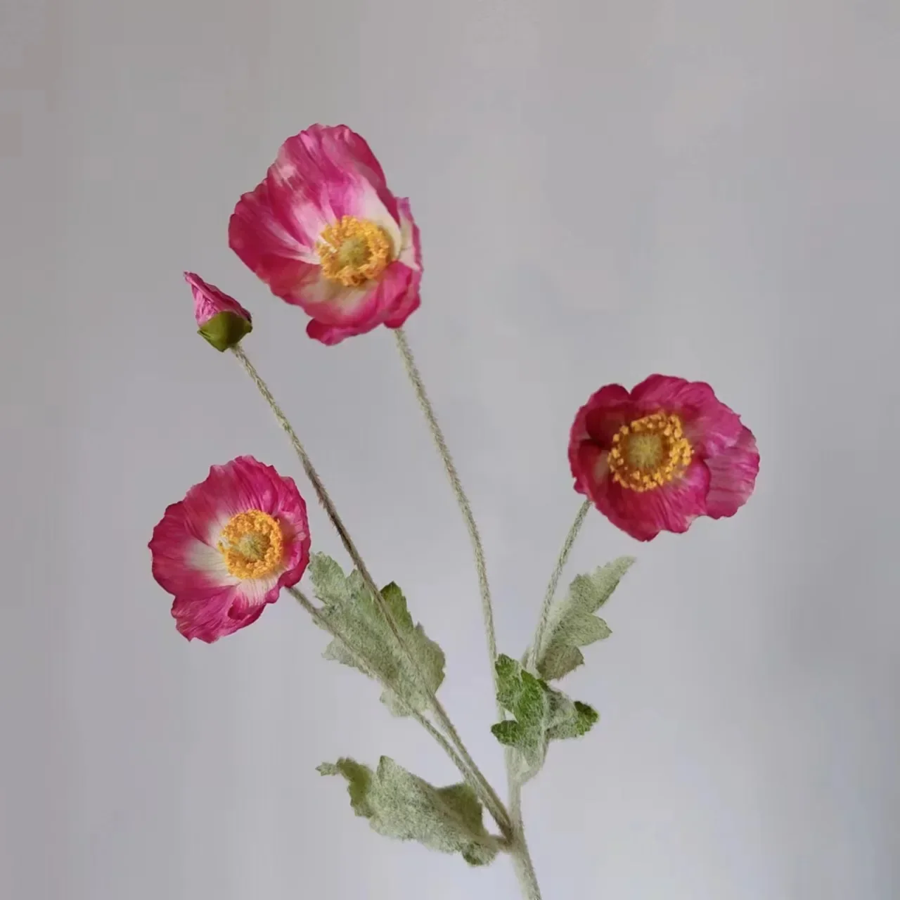 Image du produit 14