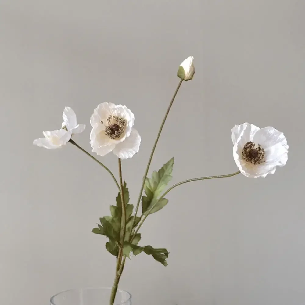 Image du produit 34