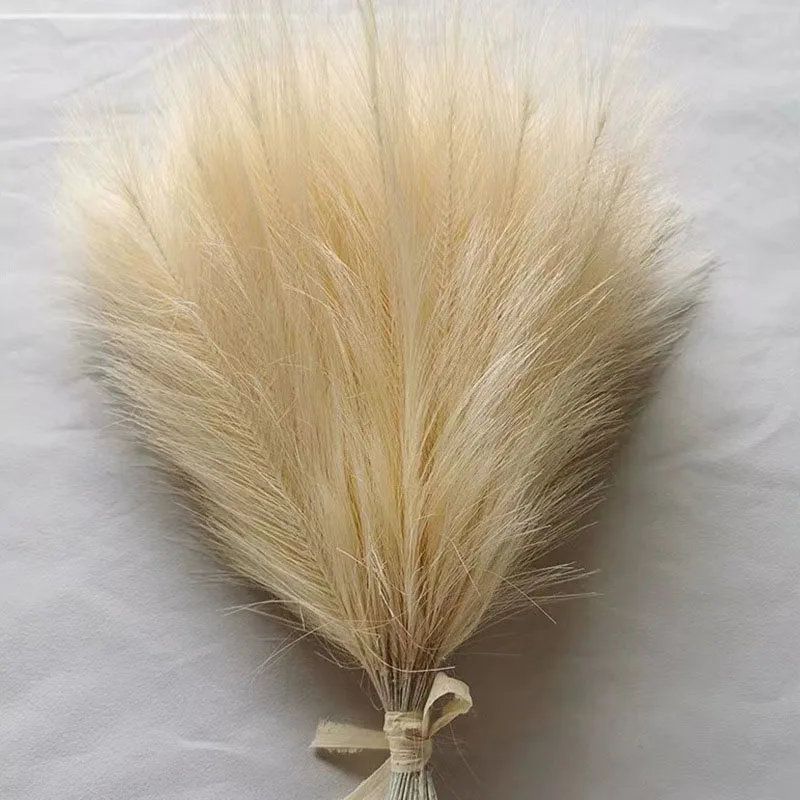 Image du produit 17