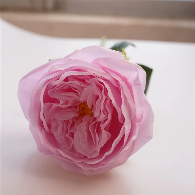 Image du produit 11