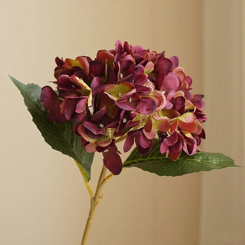 Image du produit 13