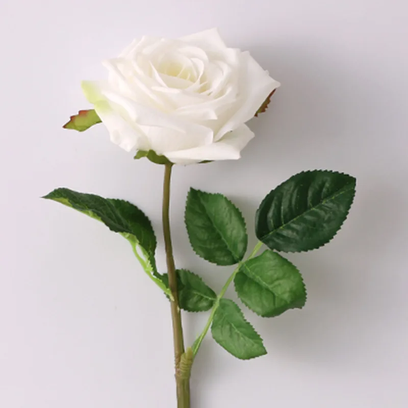 Image du produit 11