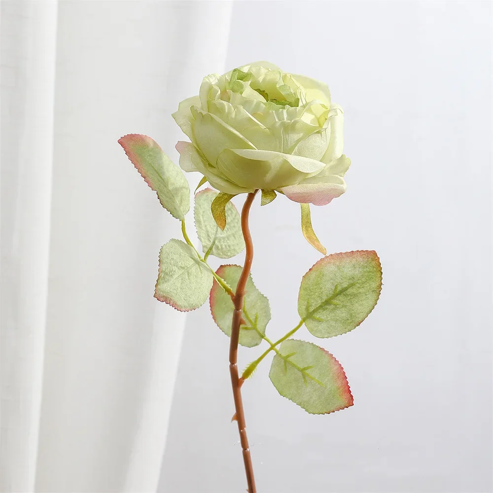 Image du produit 15