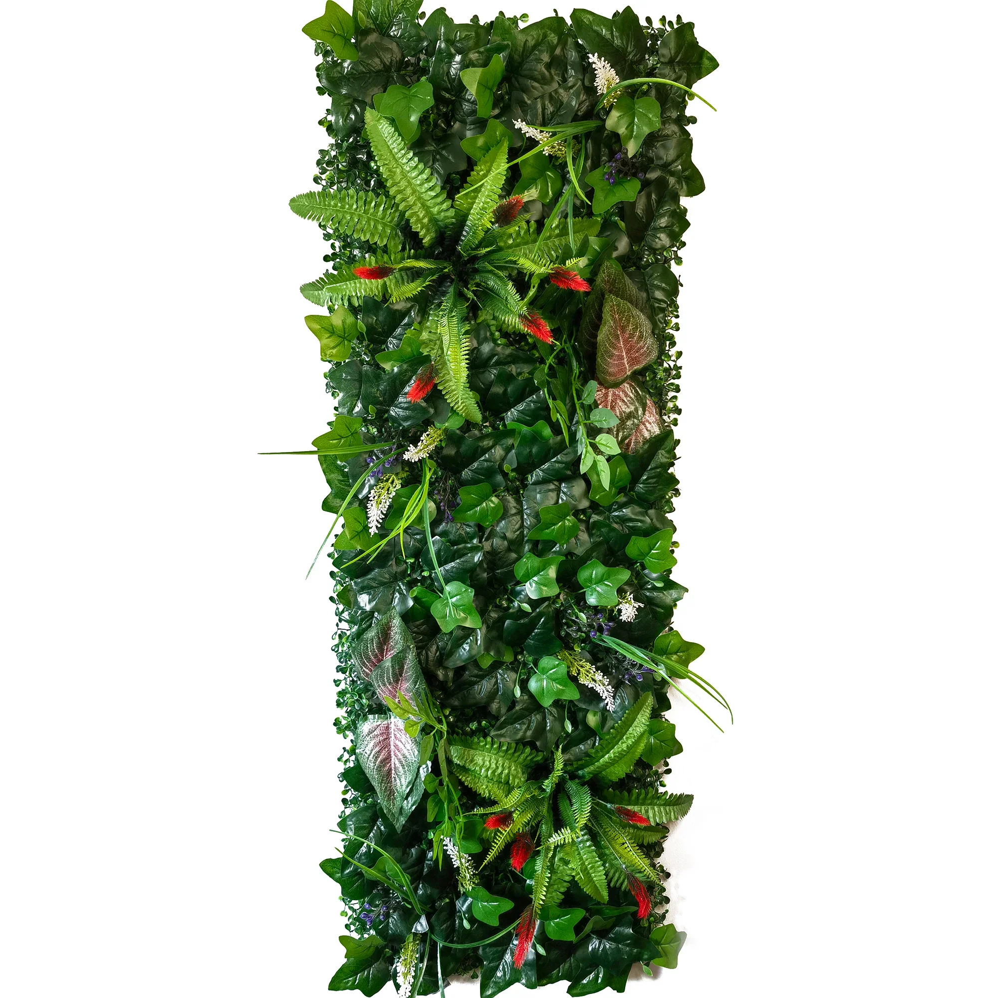 Image du produit 12