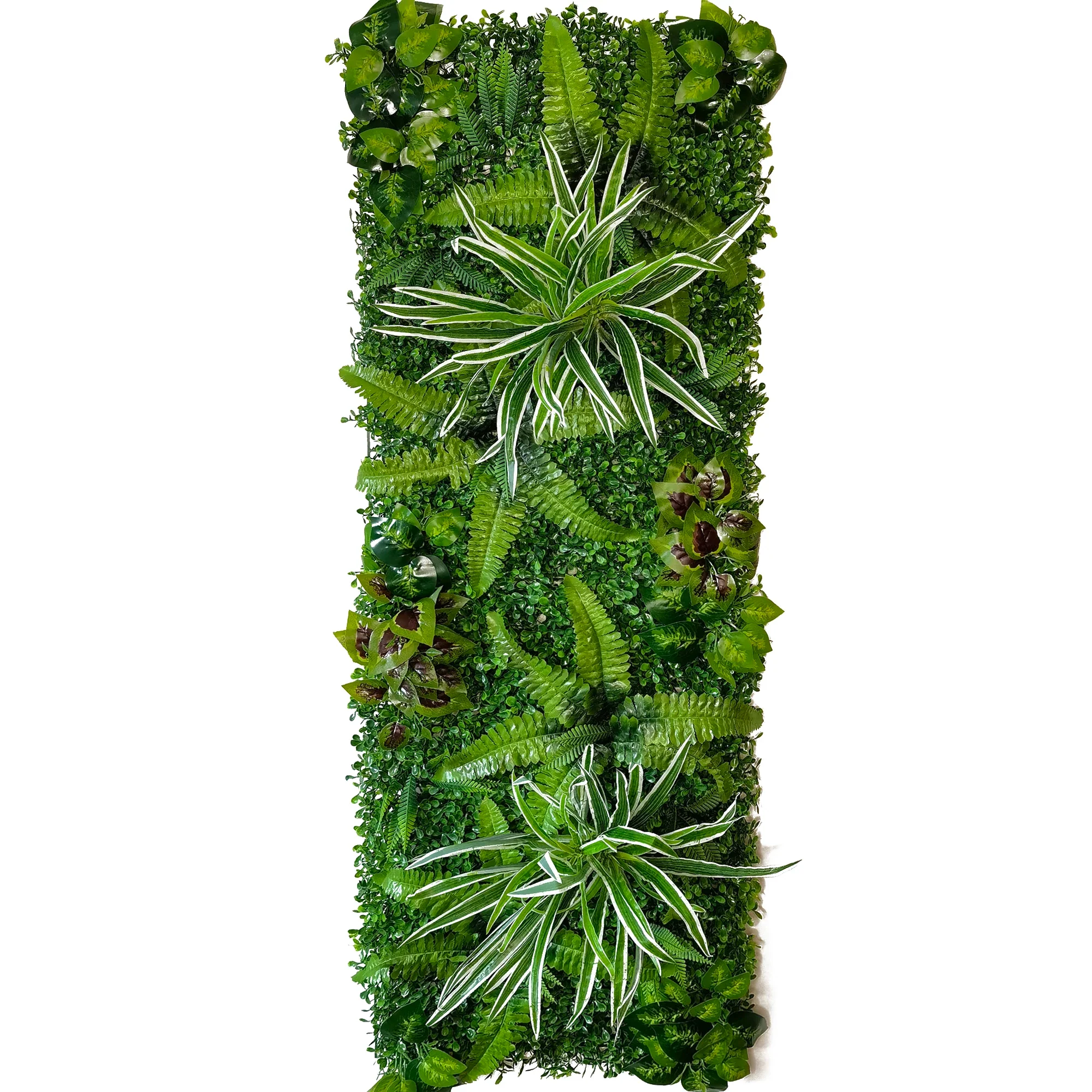 Image du produit 25