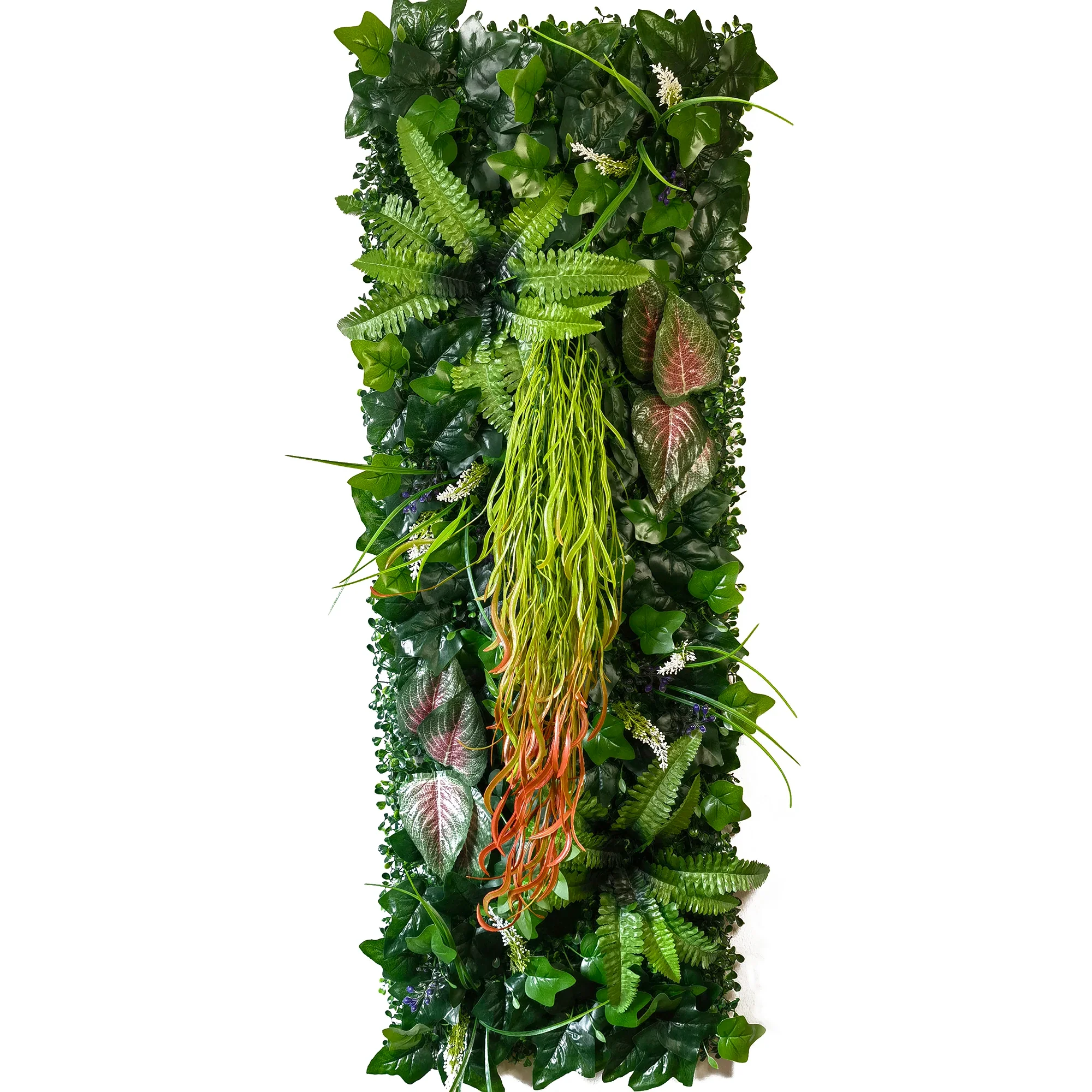 Image du produit 26