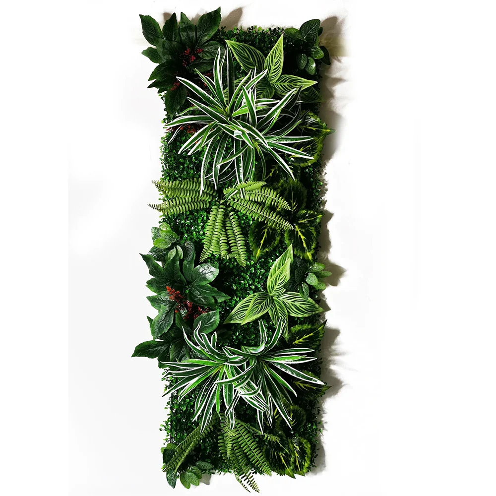 Image du produit 31