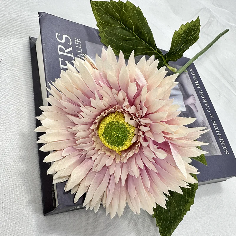 Image du produit 13