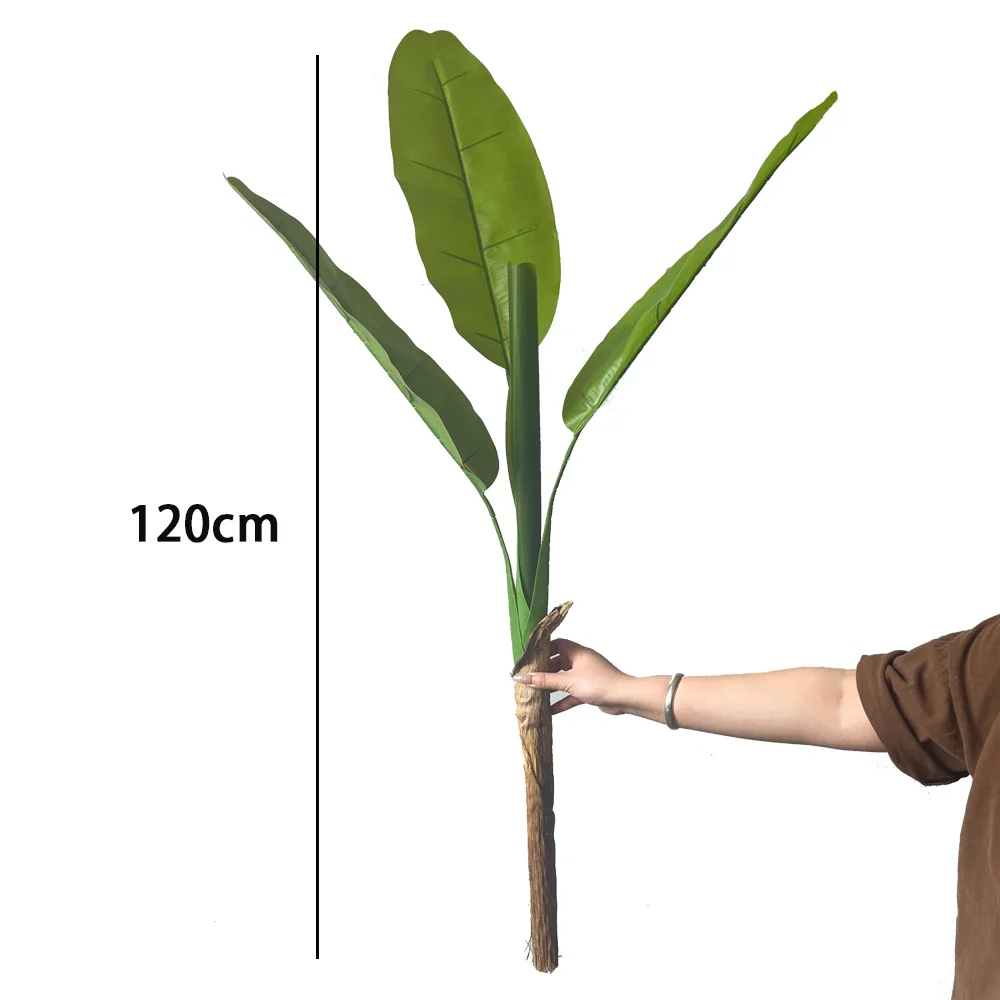 Image du produit 12
