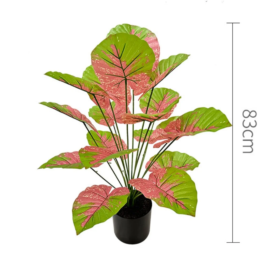 Image du produit 14