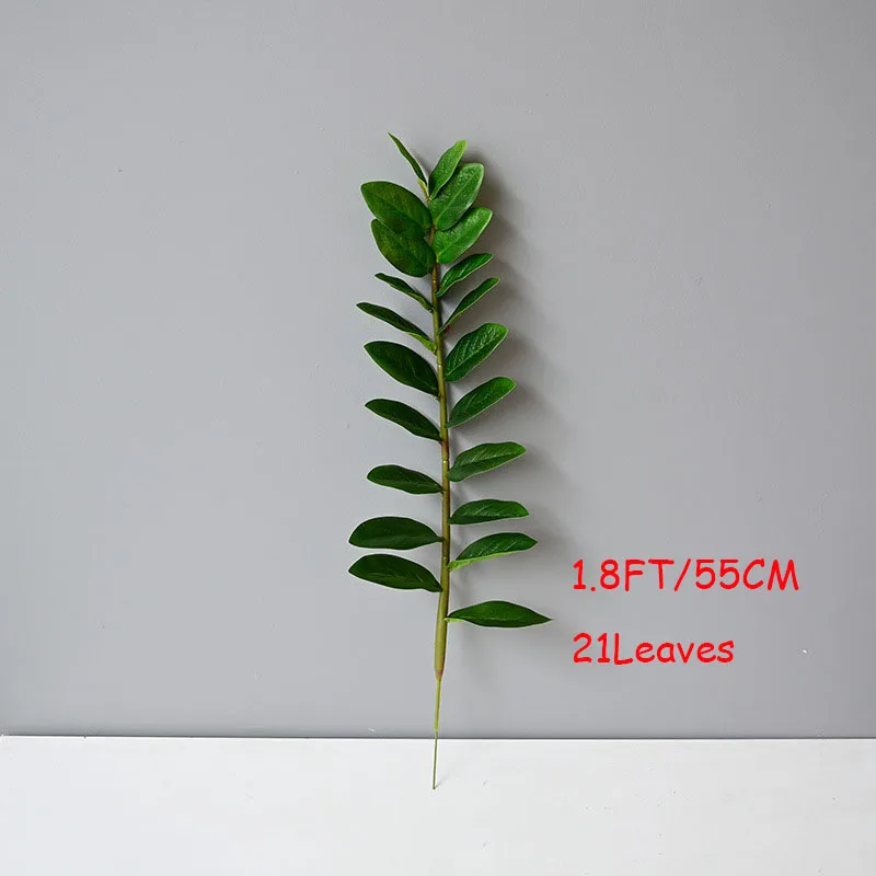 Image du produit 13