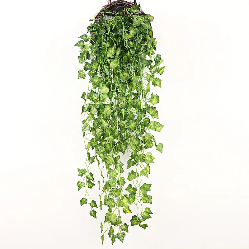 Image du produit 14