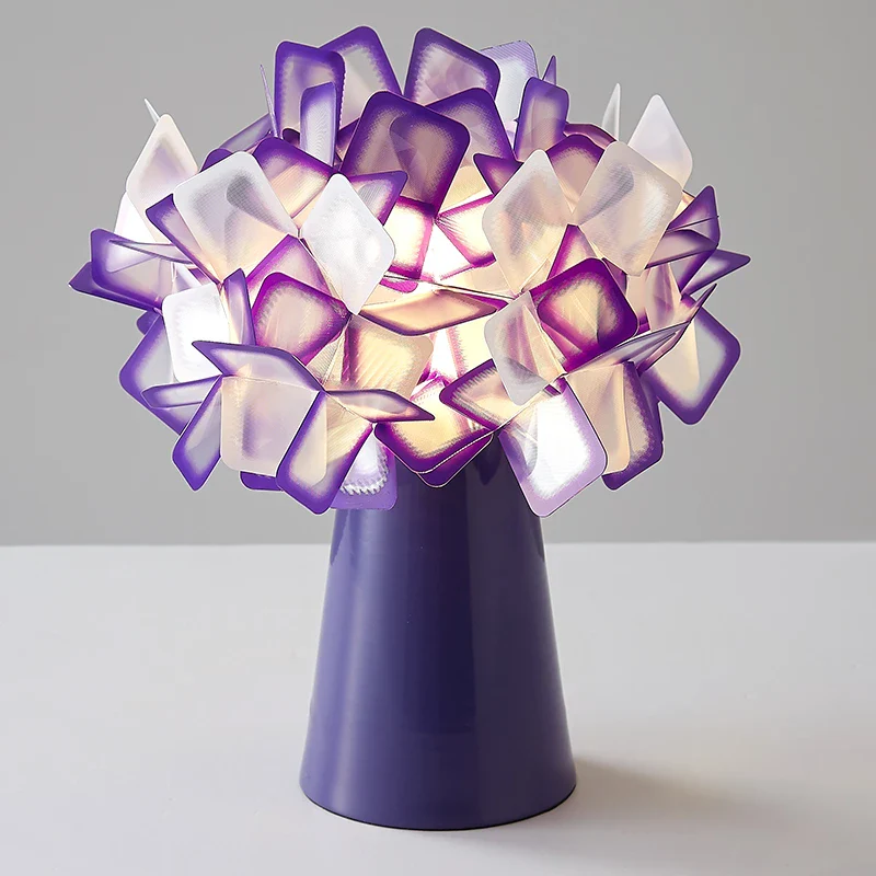 Image du produit 12
