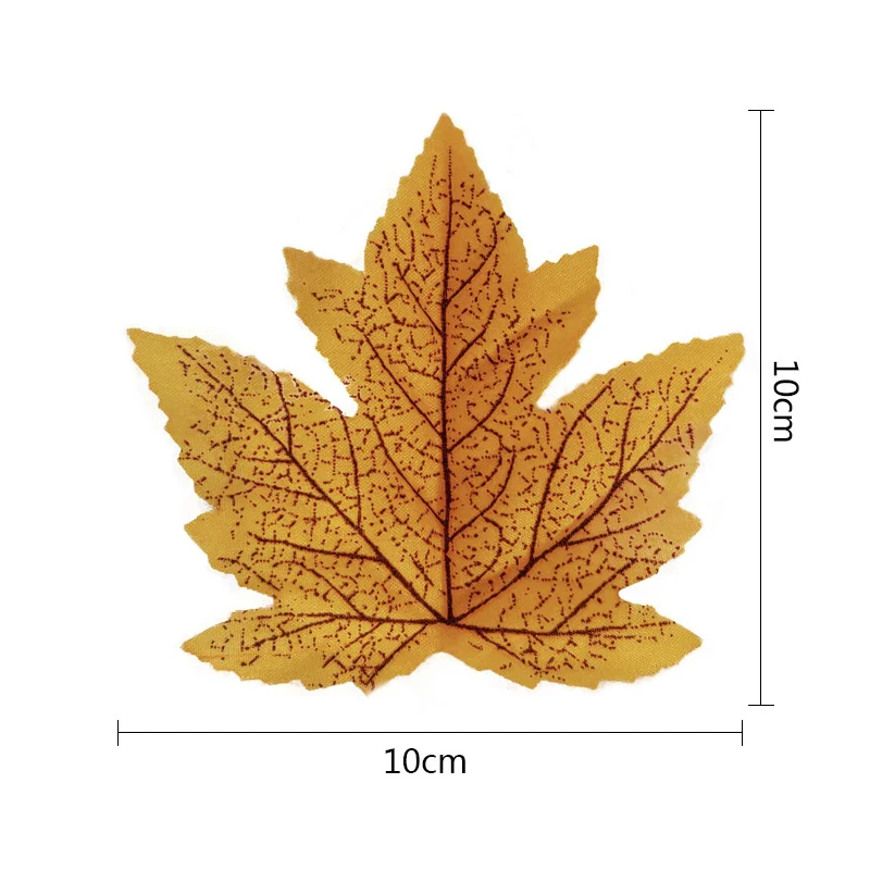 Image du produit 15