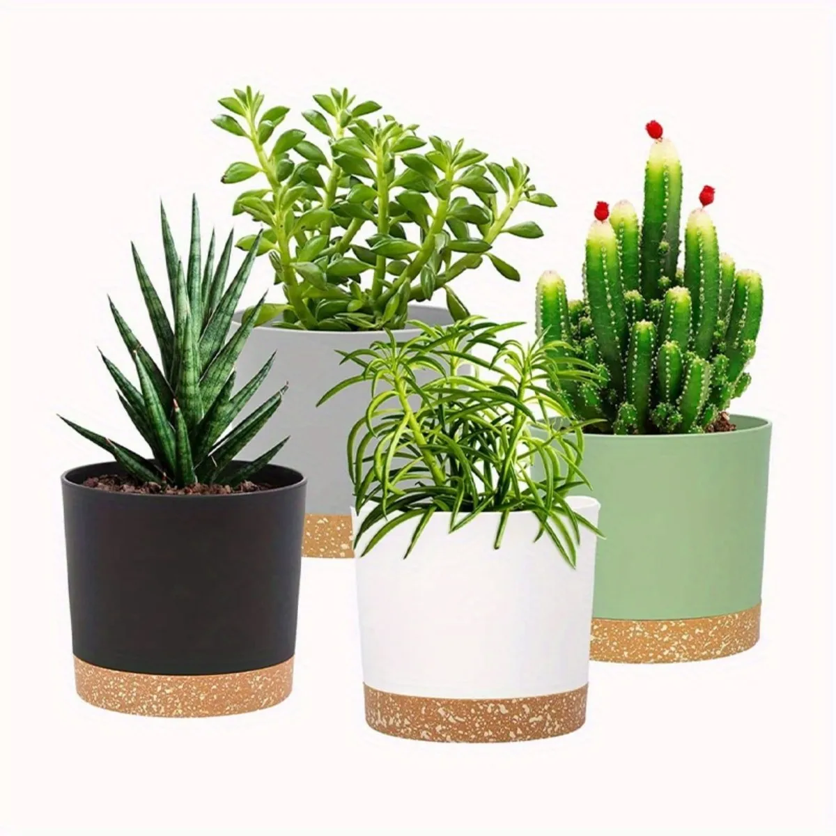 Image du produit 10