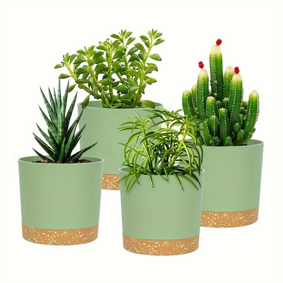 Image du produit 5