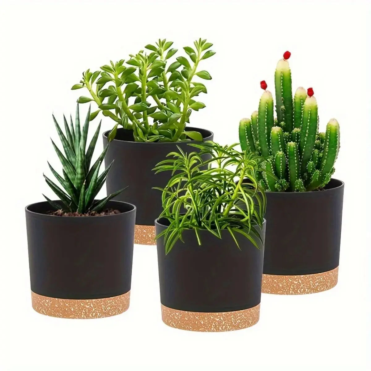 Image du produit 6