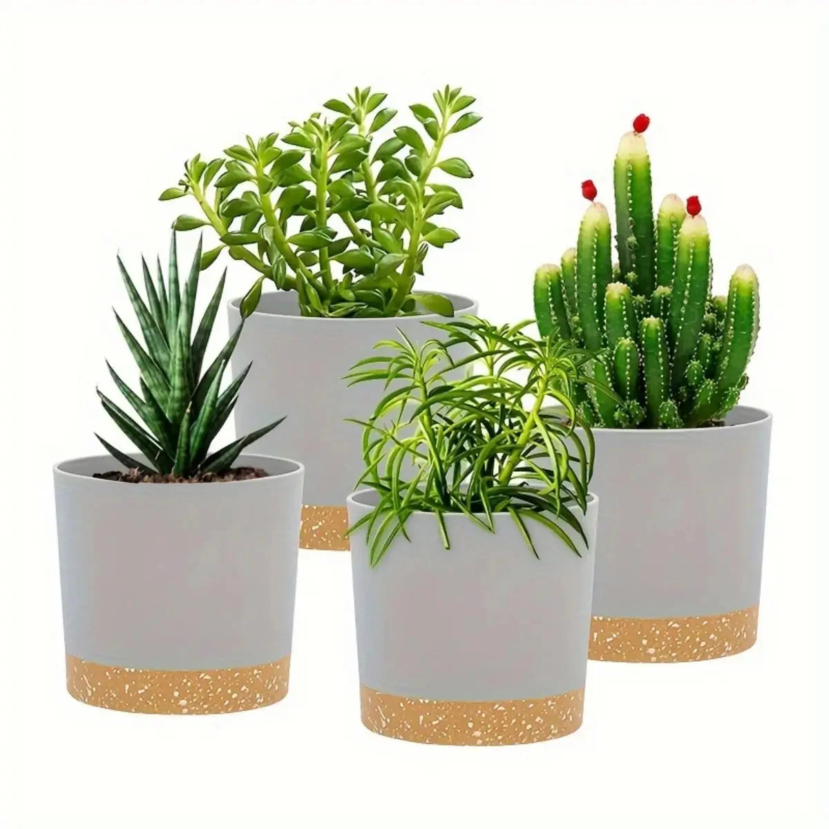 Image du produit 8