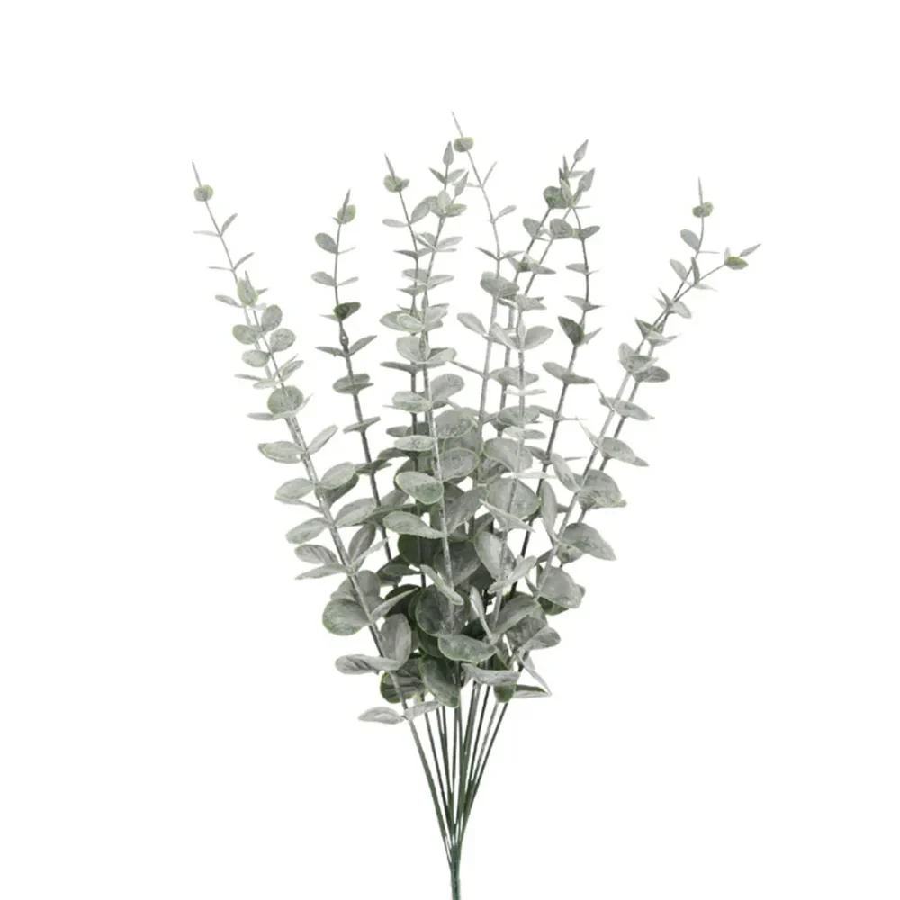Image du produit 11