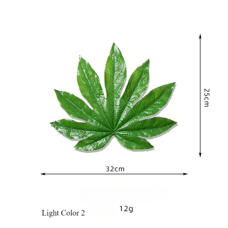 Image du produit 12