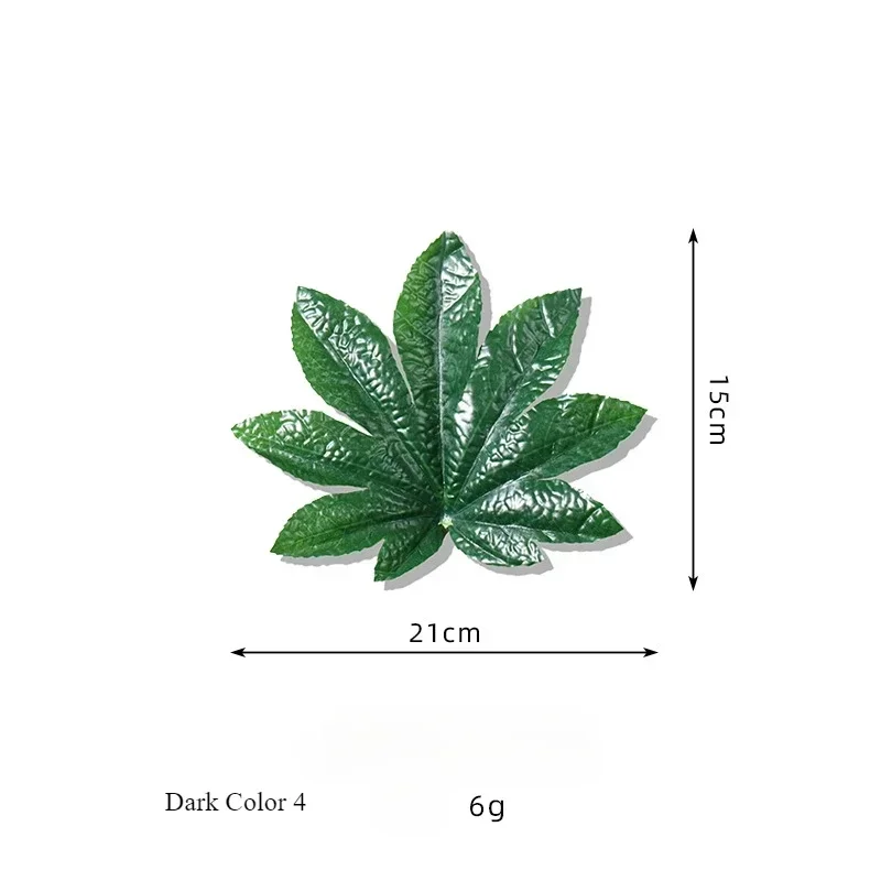 Image du produit 13
