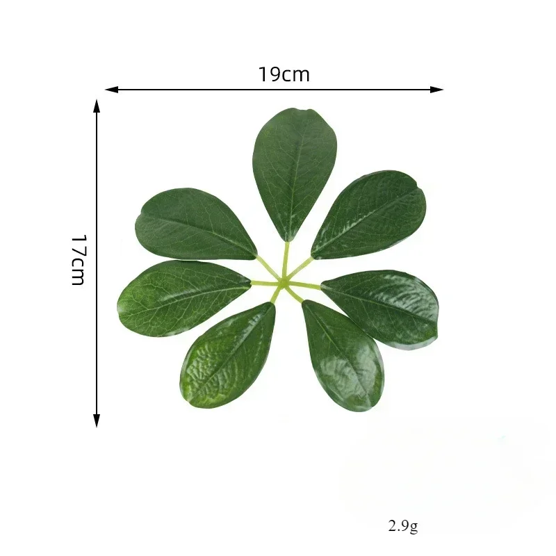 Image du produit 15