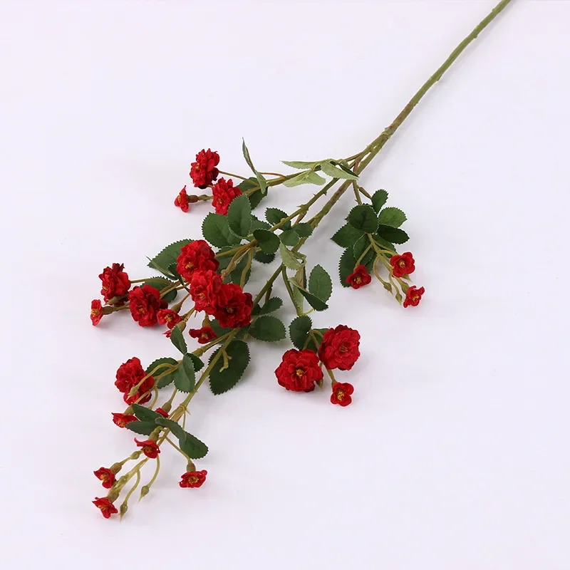 Image du produit 11