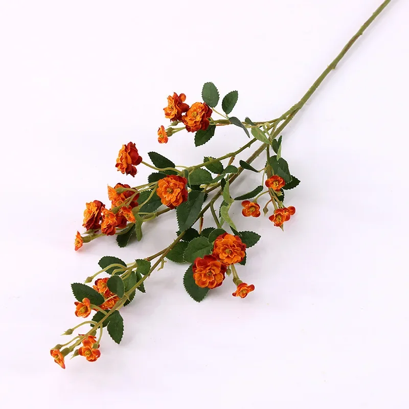 Image du produit 13