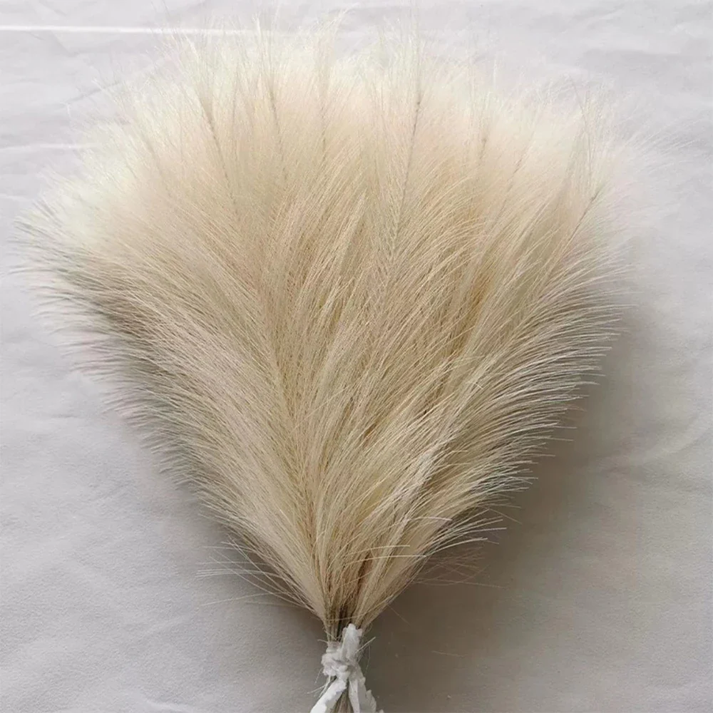 Image du produit 18