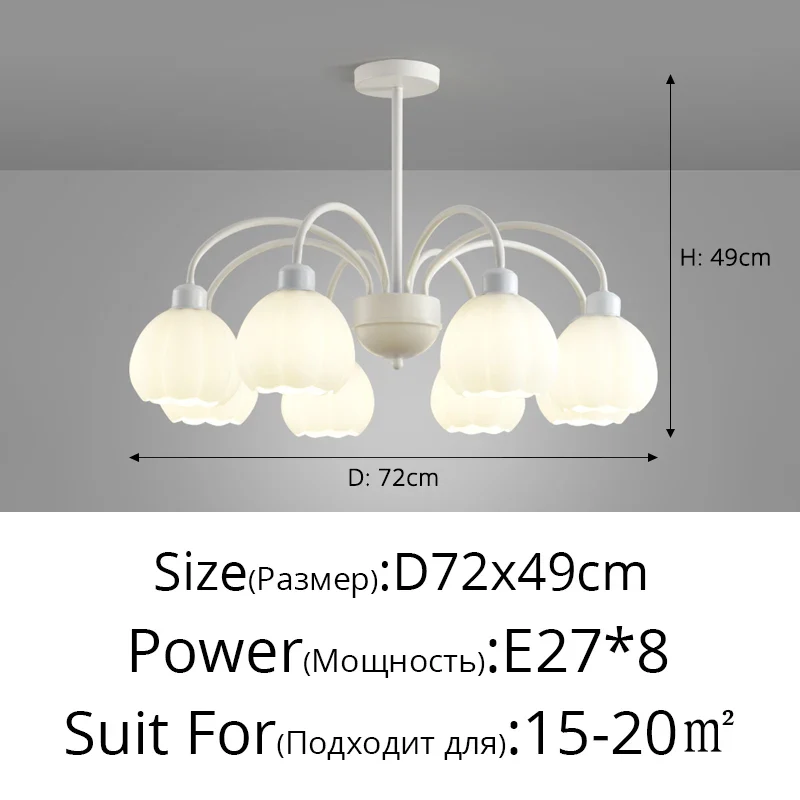 Image du produit 11