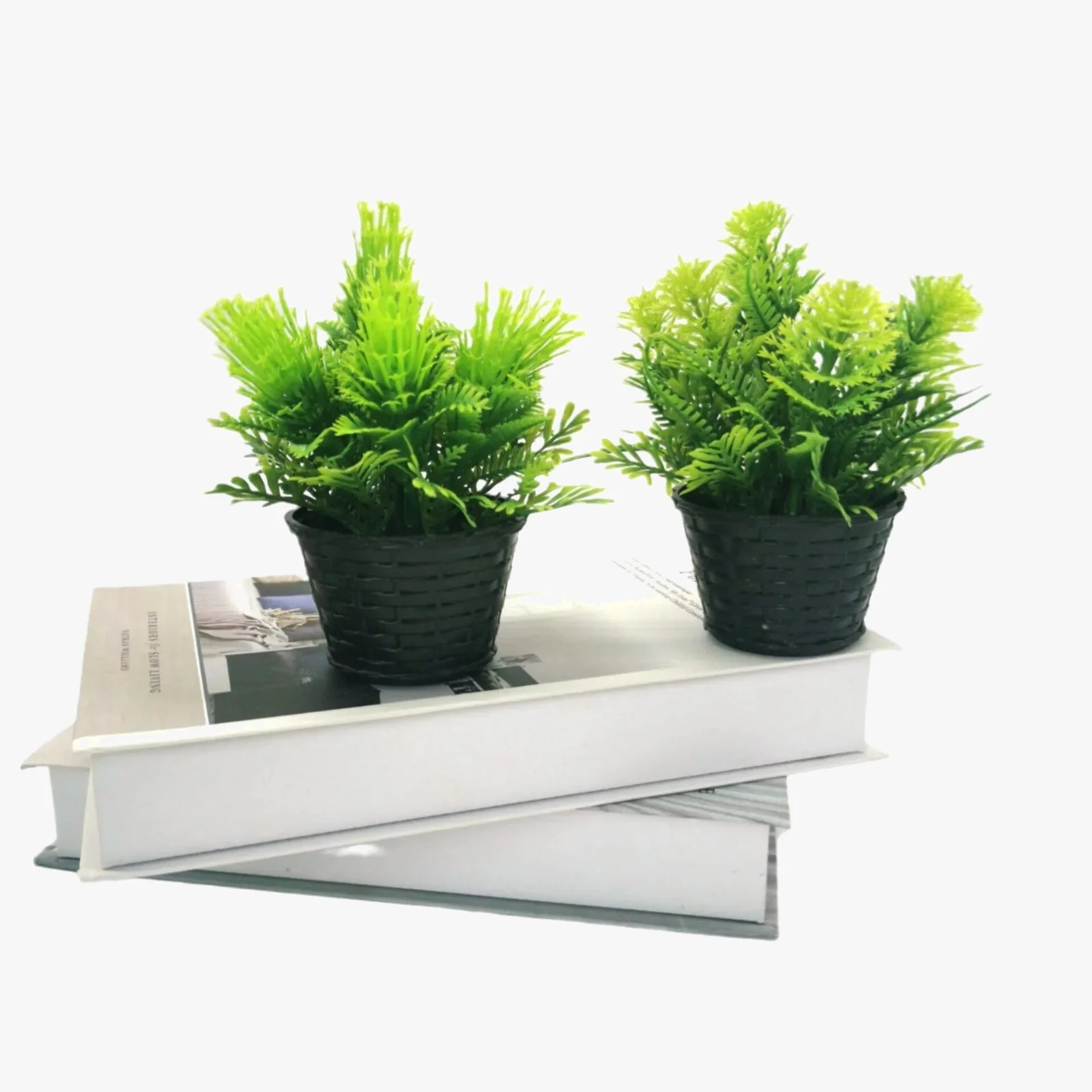Image du produit 5