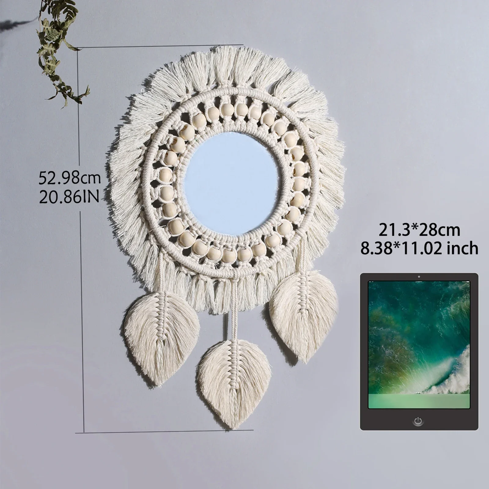 Image du produit 12