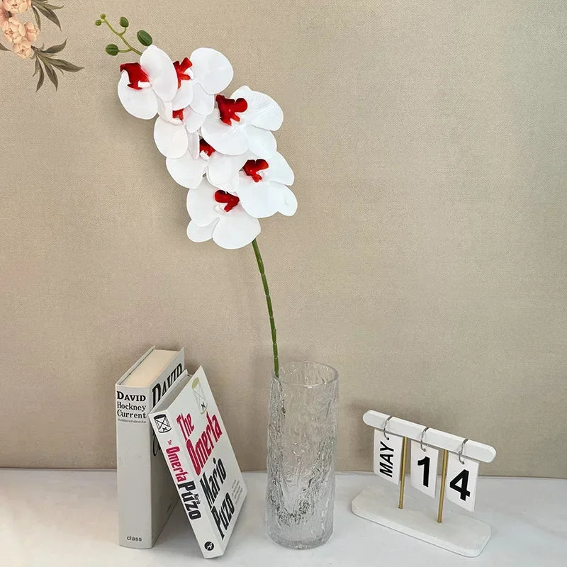 Image du produit 16