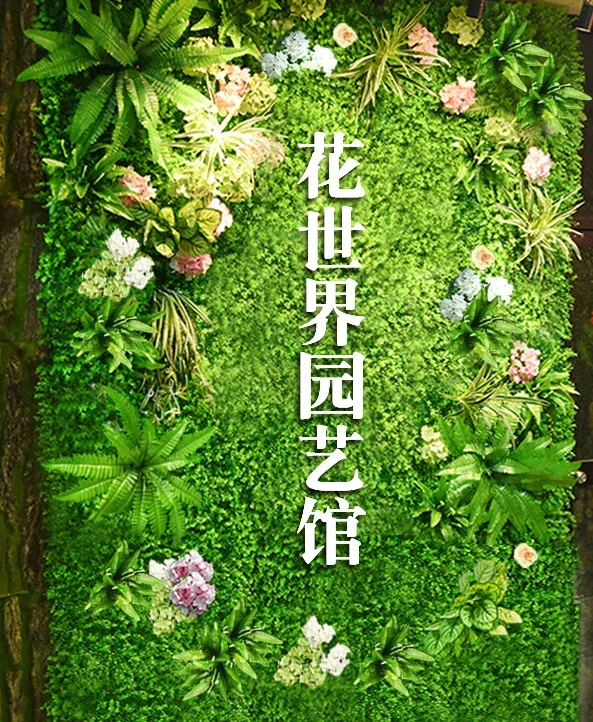 Image du produit 12