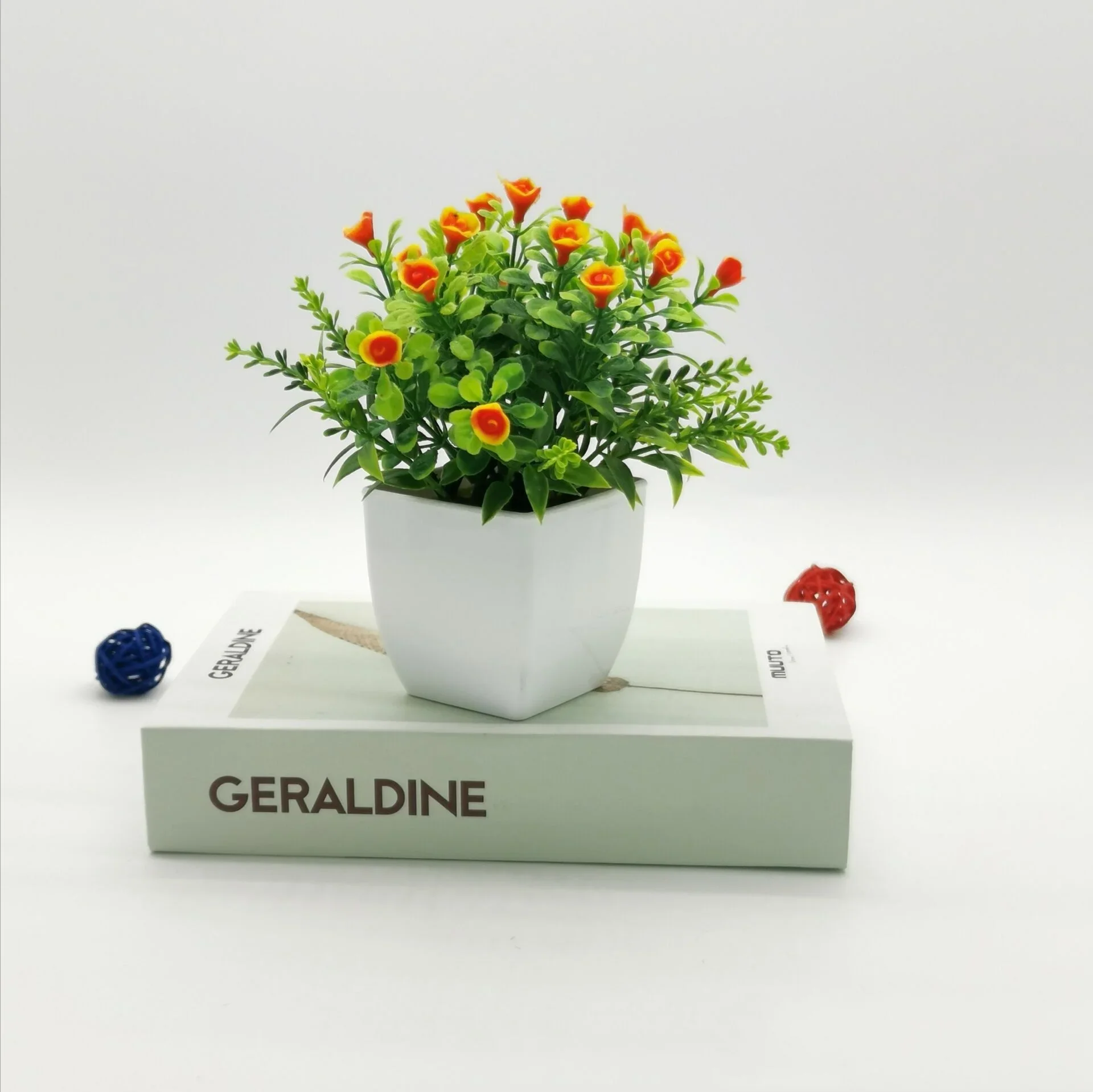 Image du produit 10