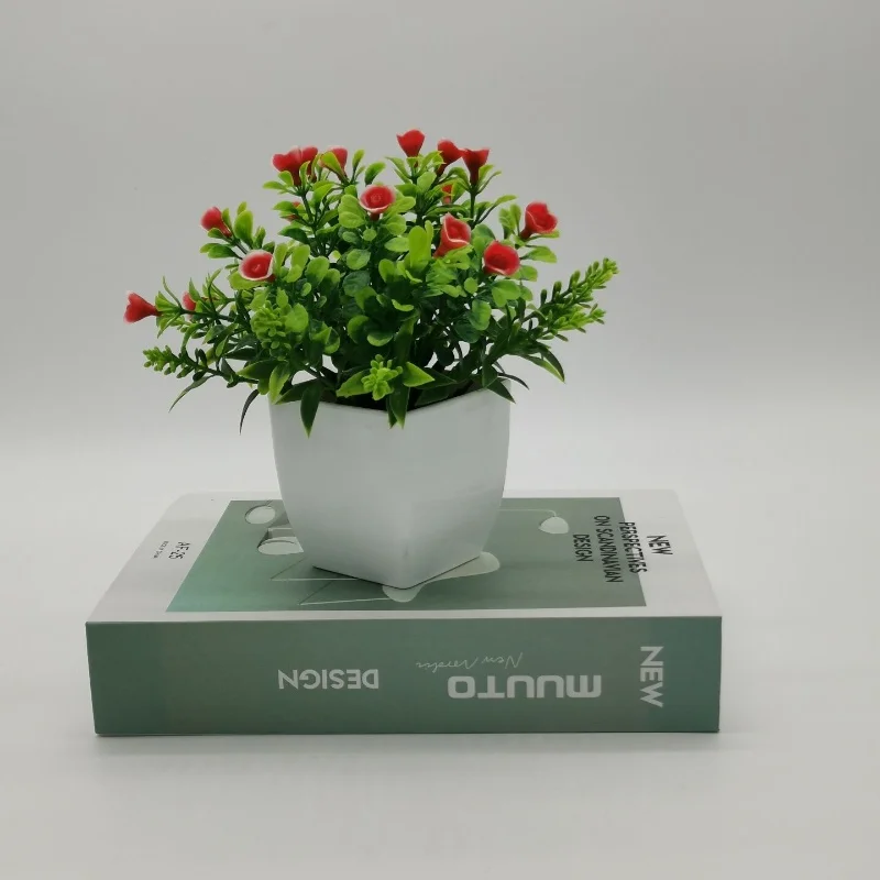 Image du produit 11
