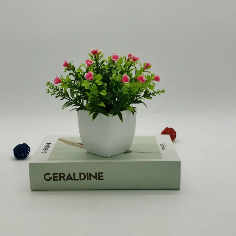 Image du produit 12