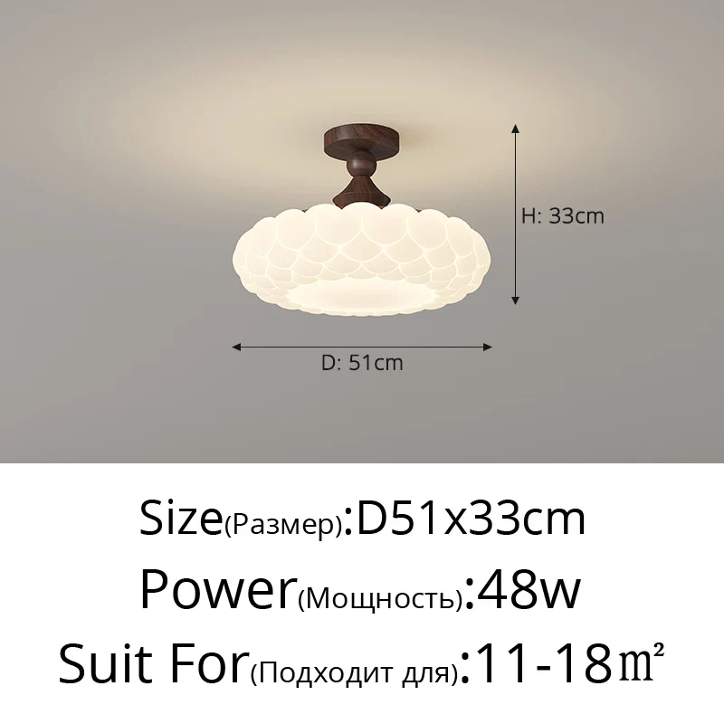 Image du produit 12