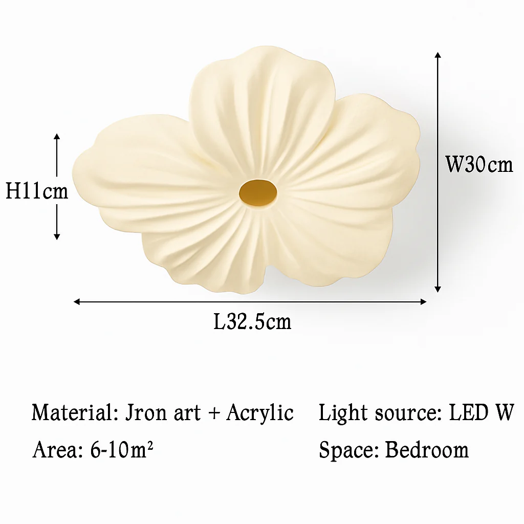 Image du produit 12