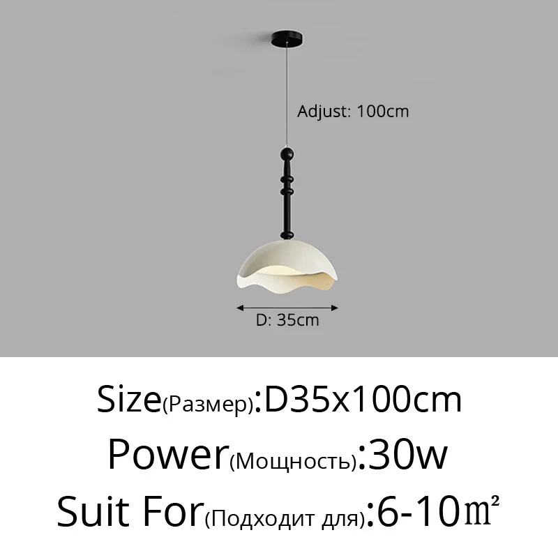 Image du produit 13