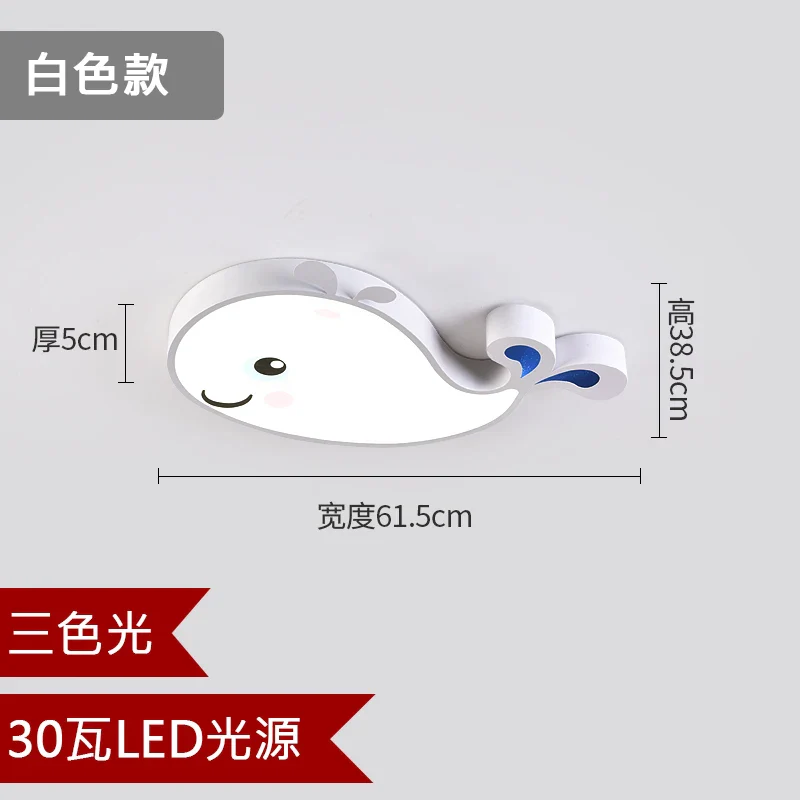 Image du produit 15