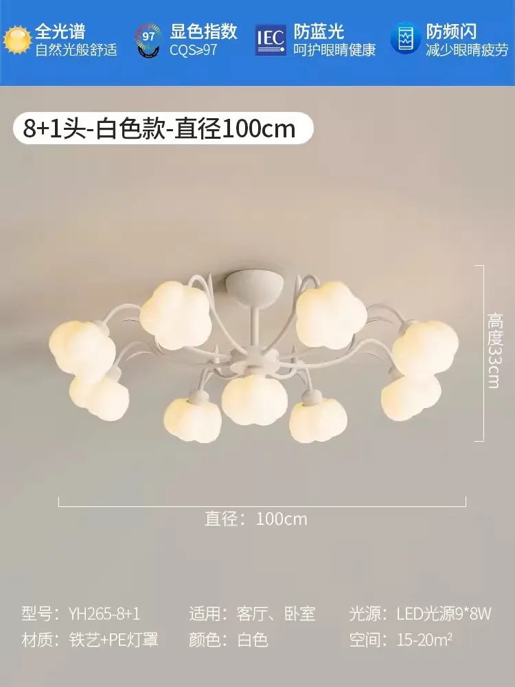 Image du produit 11