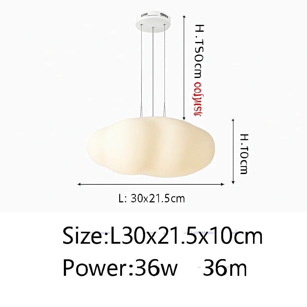 Image du produit 13