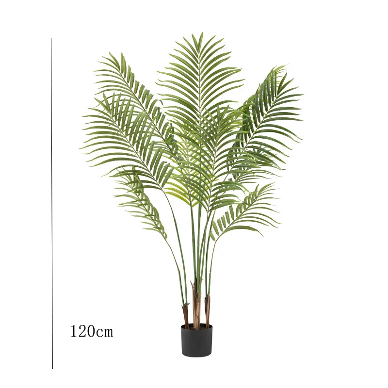 Image du produit 11