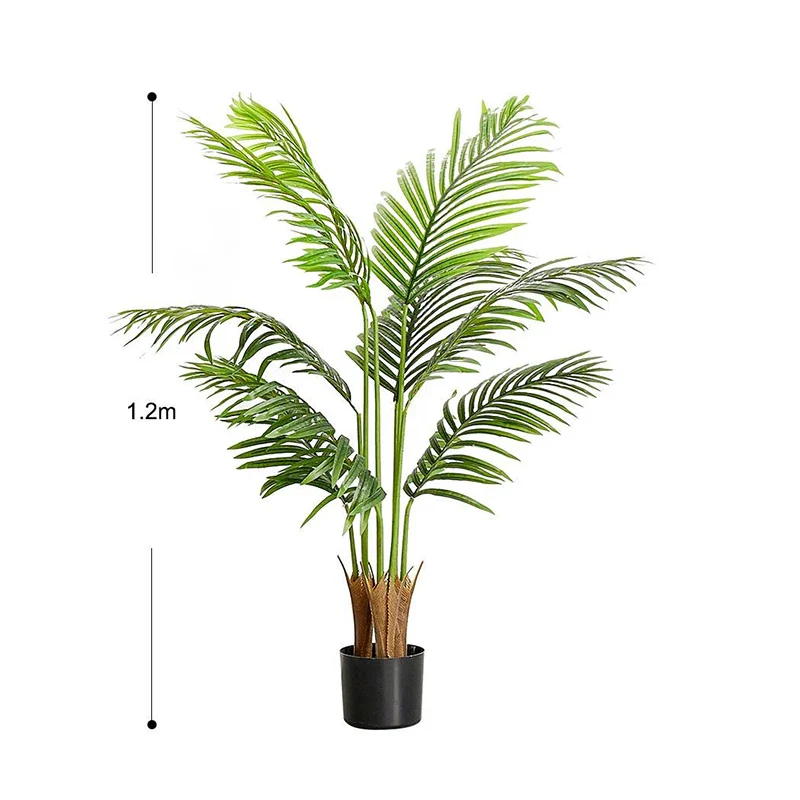 Image du produit 12