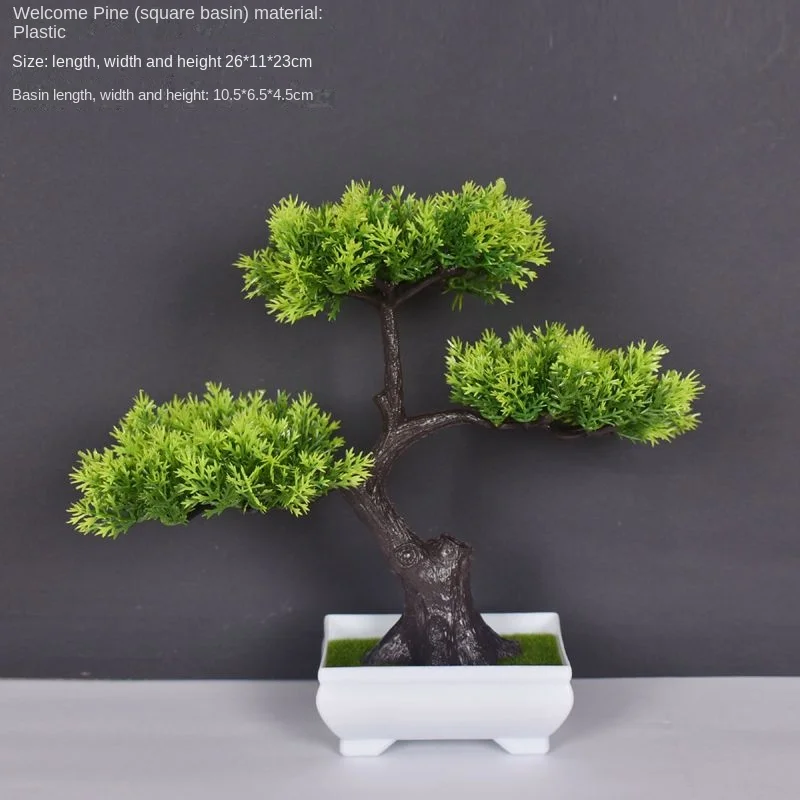 Image du produit 16
