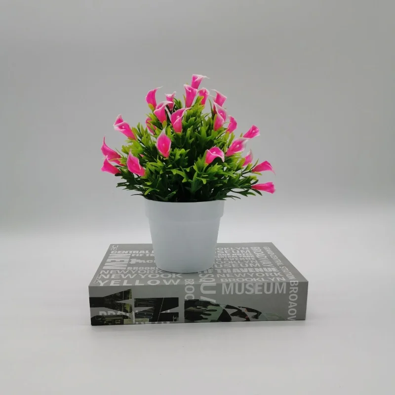 Image du produit 10