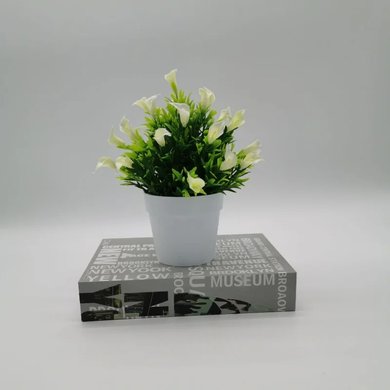 Image du produit 12