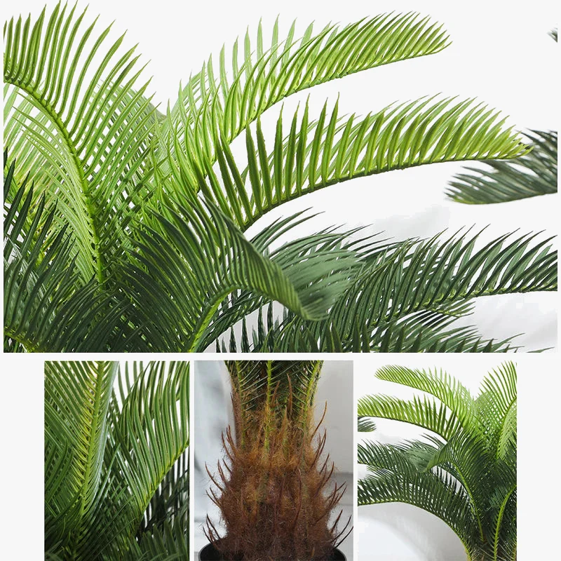 Image du produit 6